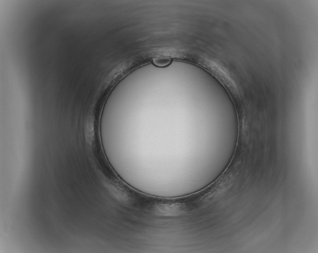 X0000110740202200906290955