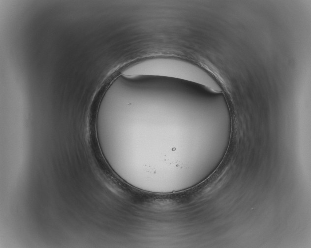 X0000110740203200906290955