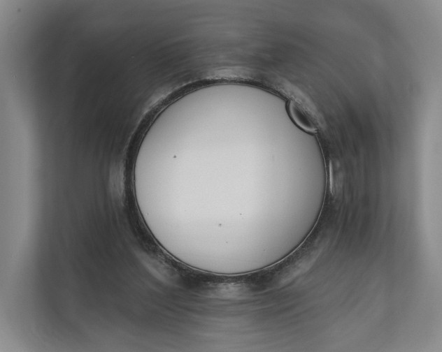 X0000110740204200906290955