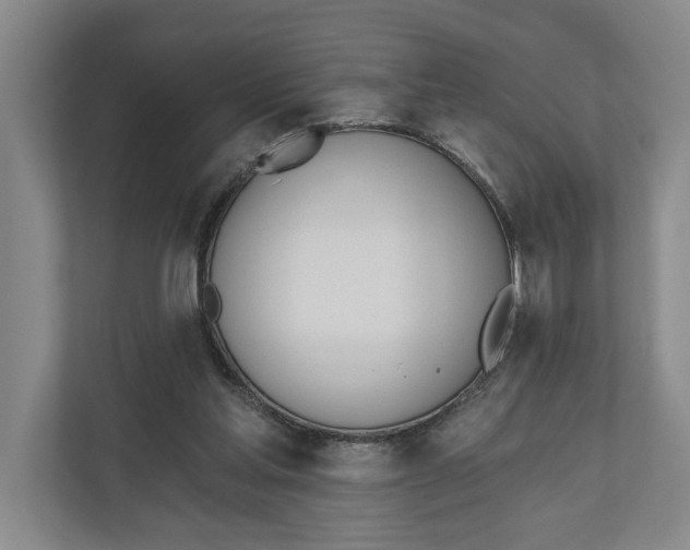 X0000110740205200906290955