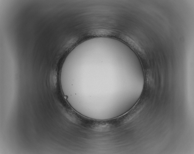 X0000110740206200906290955