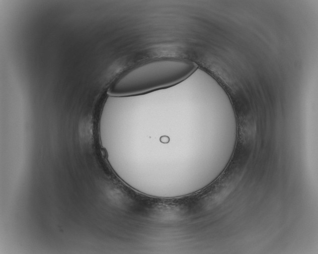 X0000110740207200906290954