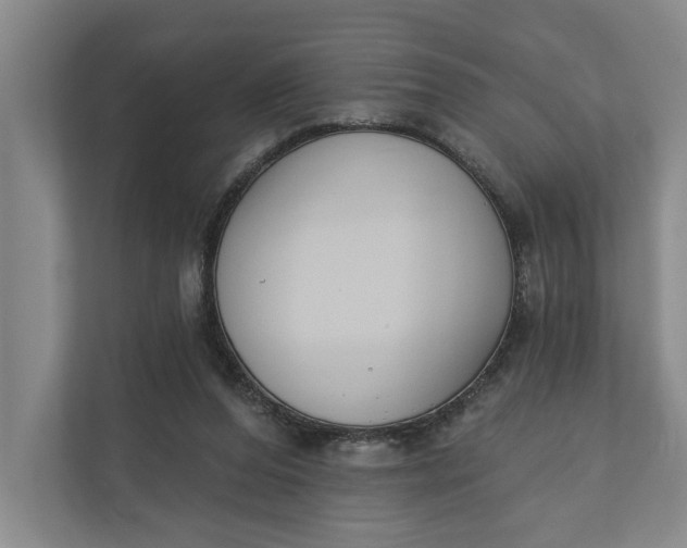 X0000110740208200906290954