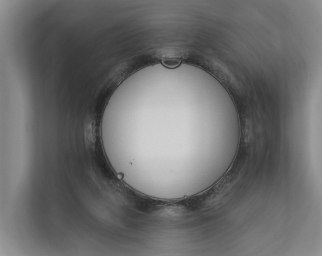 X0000110740210200906290954