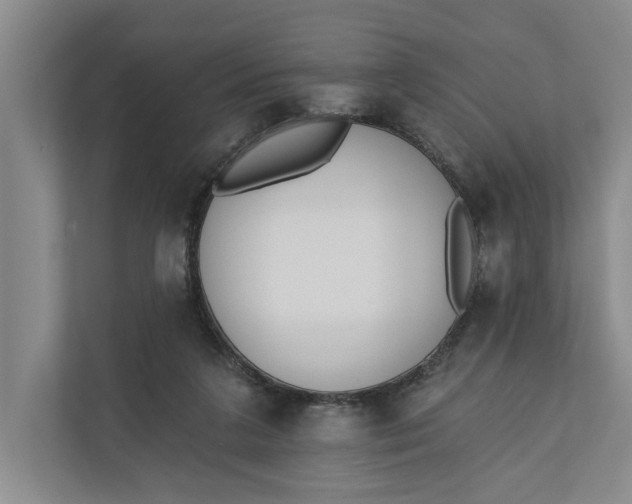 X0000110740211200906290954