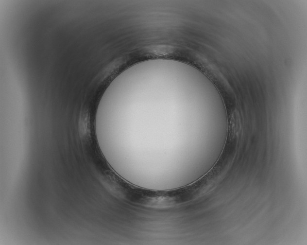 X0000110740212200906290954