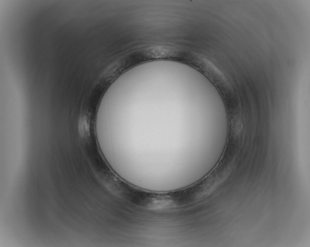 X0000110740214200906290954