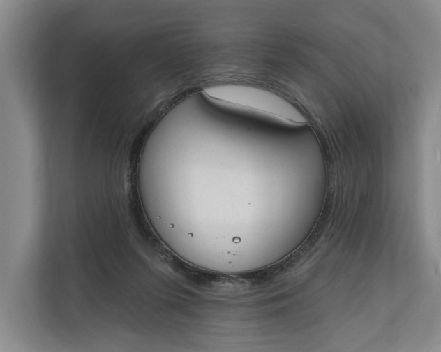 X0000110740215200906290954