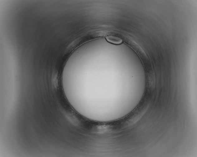 X0000110740216200906290954