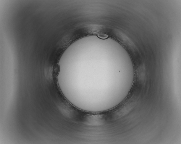 X0000110740217200906290954