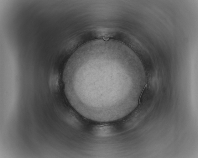 X0000110740219200906290954