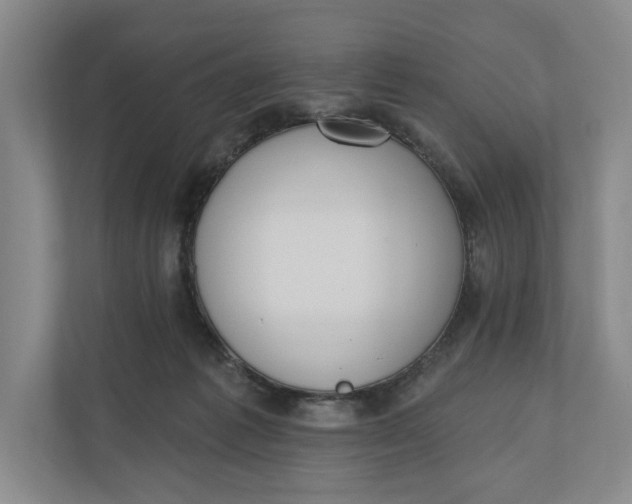 X0000110740221200906290954