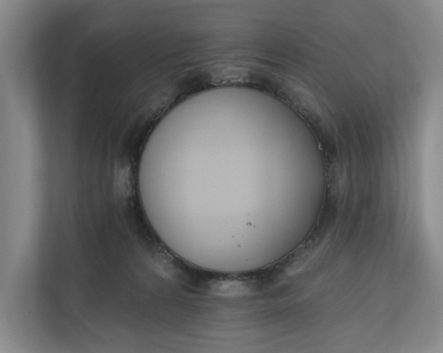 X0000110740224200906290954