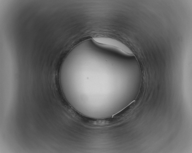 X0000110740225200906290954