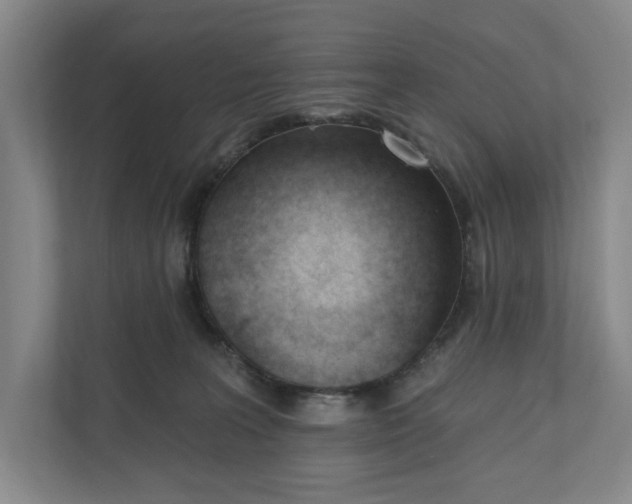 X0000110740227200906290954