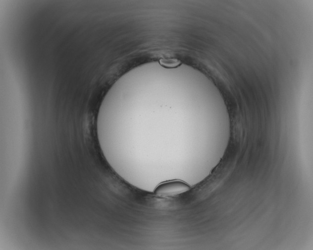 X0000110740229200906290954