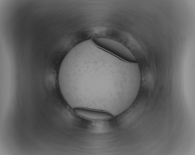 X0000110740231200906290954