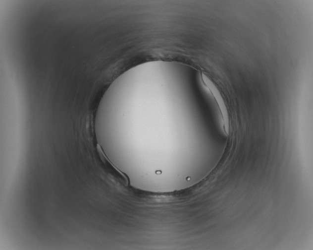 X0000110740233200906290954