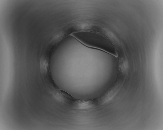 X0000110740235200906290954