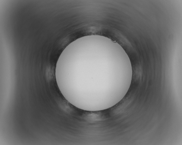 X0000110740236200906290954