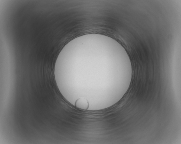 X0000110740237200906290954