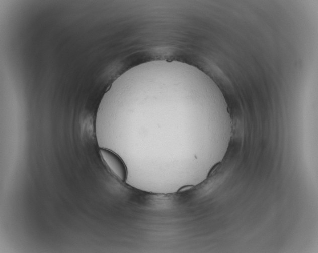 X0000110740238200906290954