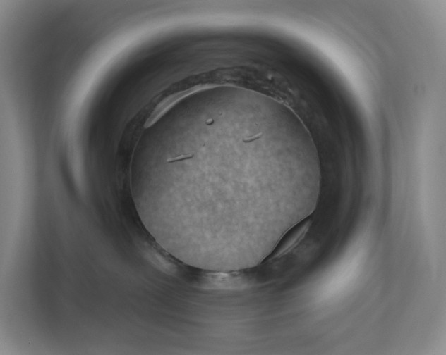 X0000110740239200906290954