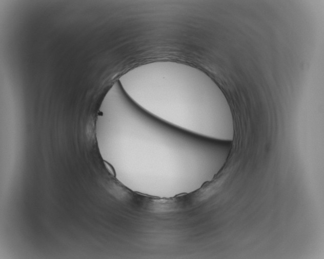 X0000110740240200906290954