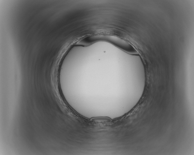 X0000110740241200906290953