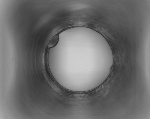 X0000110740242200906290953