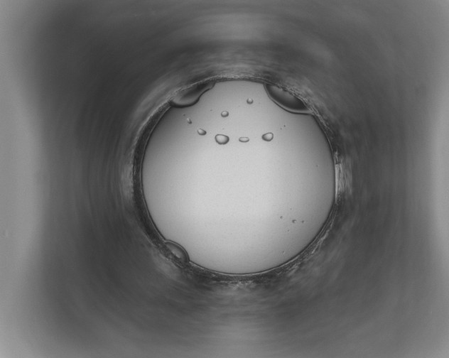 X0000110740243200906290953