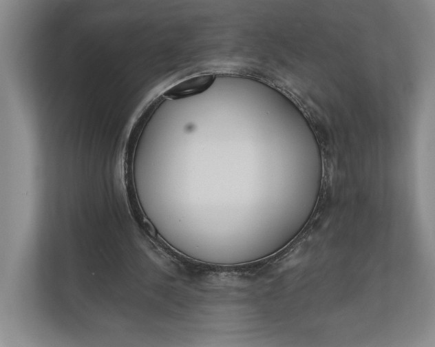 X0000110740244200906290953