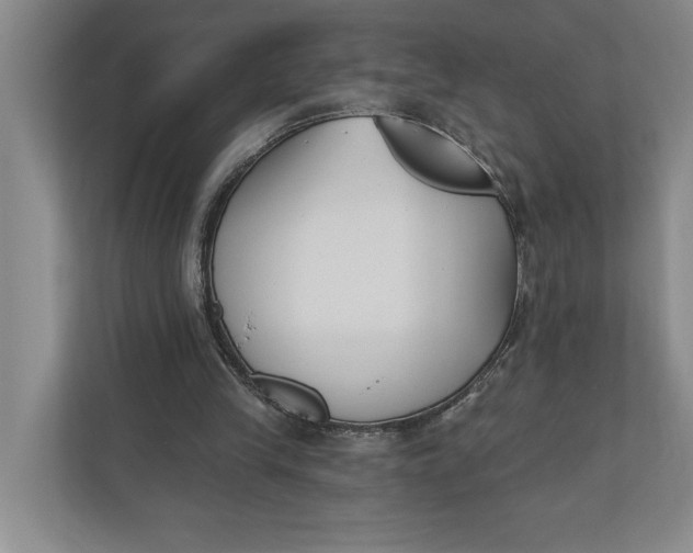 X0000110740245200906290953