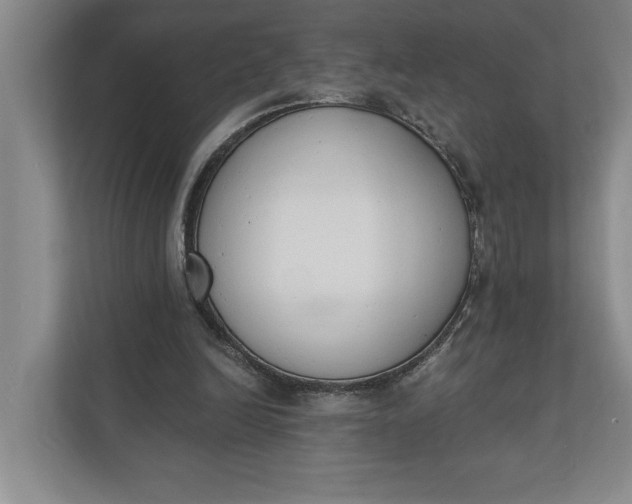 X0000110740246200906290954