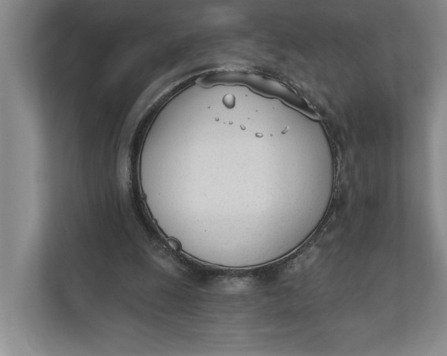 X0000110740247200906290954