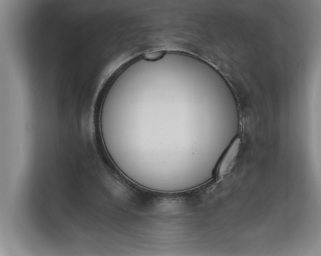 X0000110740248200906290954