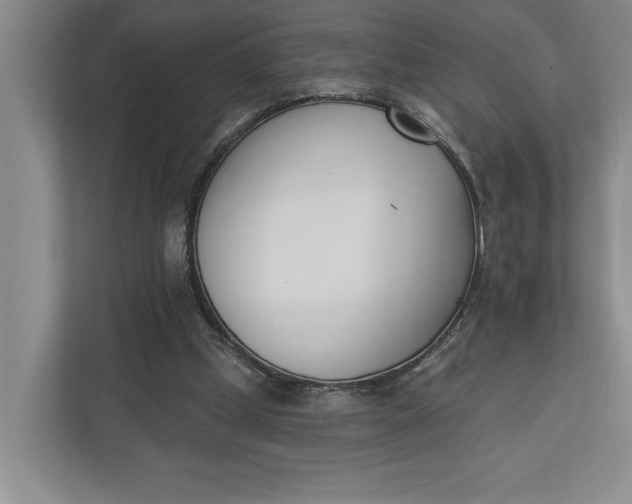 X0000110740249200906290954