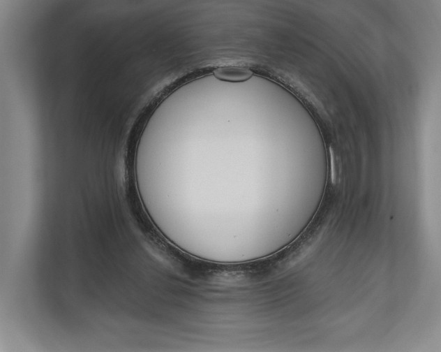 X0000110740252200906290954