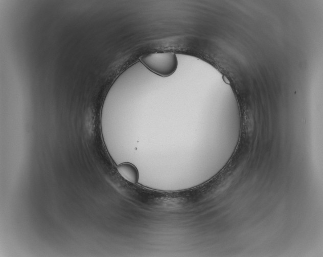 X0000110740255200906290954