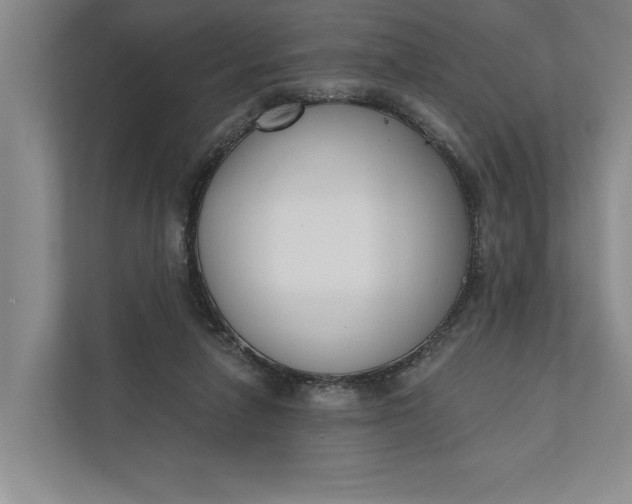 X0000110740258200906290954