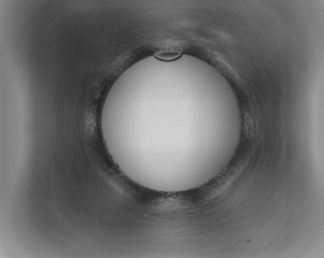 X0000110740259200906290954