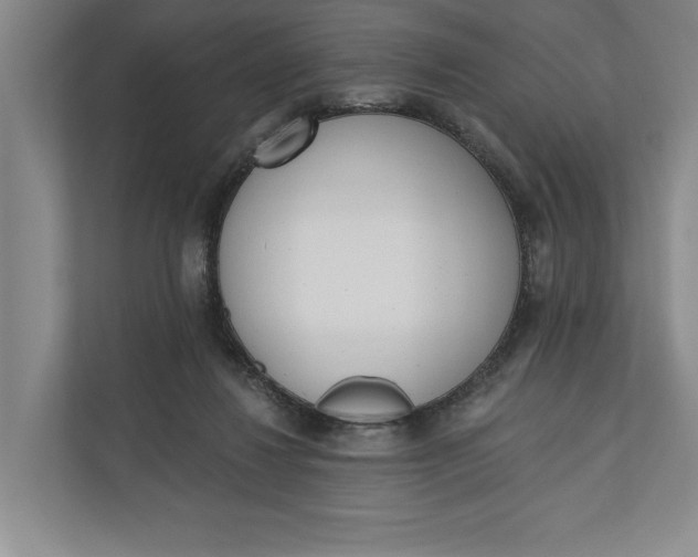 X0000110740260200906290954