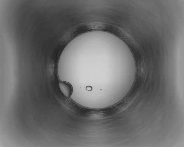 X0000110740263200906290954