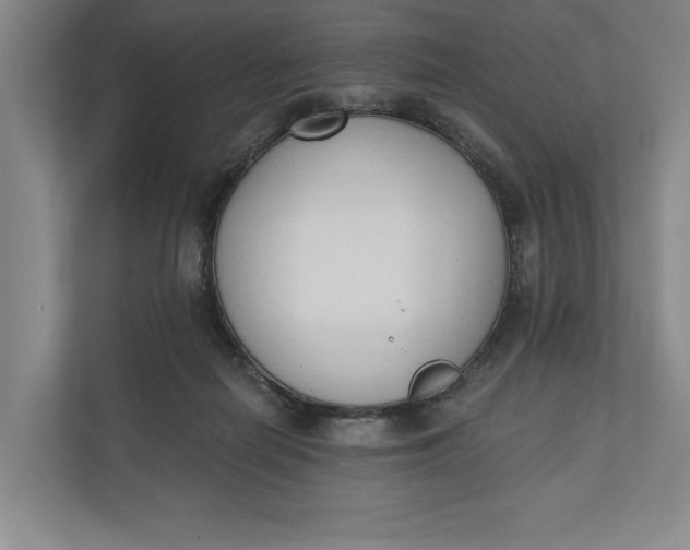 X0000110740266200906290954