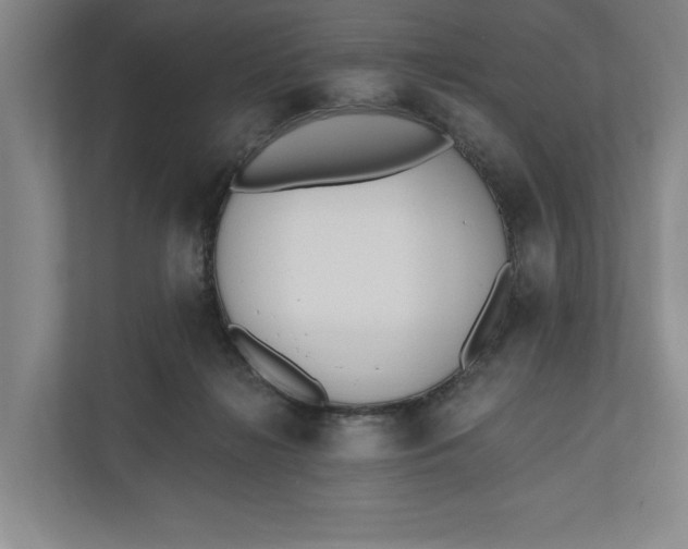 X0000110740268200906290954