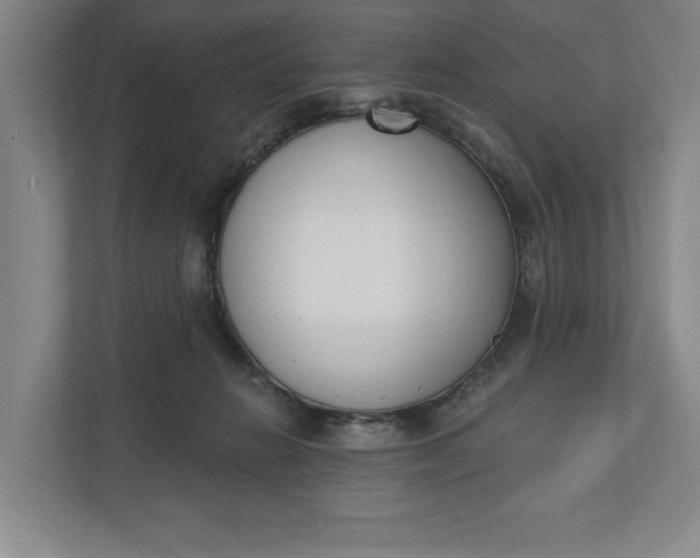 X0000110740270200906290954