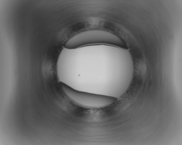 X0000110740272200906290954