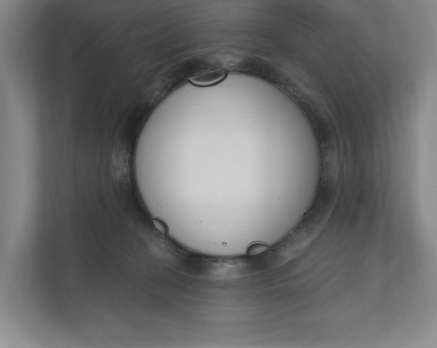 X0000110740274200906290954