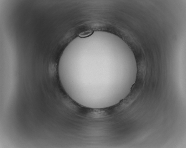 X0000110740278200906290954