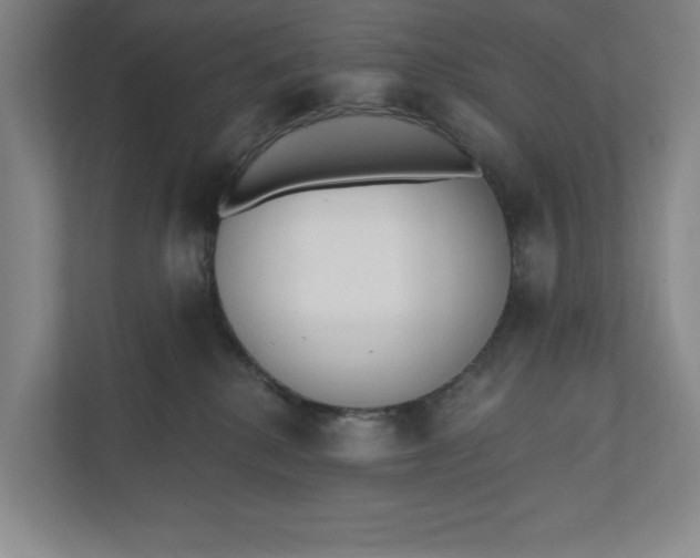 X0000110740280200906290954